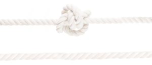 white rope brand central solutions
